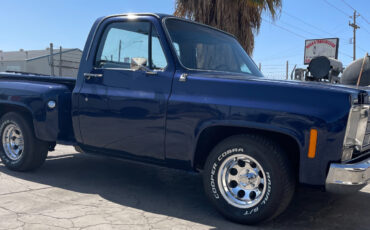 Chevrolet-Other-Pickups-1977-1