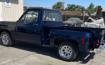 Chevrolet-Other-Pickups-1977-10