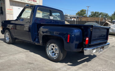Chevrolet-Other-Pickups-1977-11
