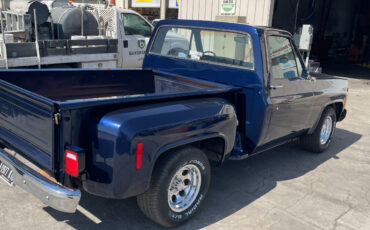 Chevrolet-Other-Pickups-1977-12
