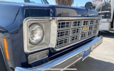 Chevrolet-Other-Pickups-1977-16
