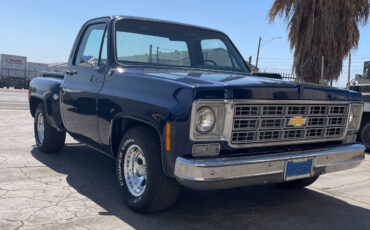 Chevrolet-Other-Pickups-1977-2