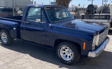 Chevrolet-Other-Pickups-1977-3
