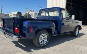 Chevrolet-Other-Pickups-1977-31