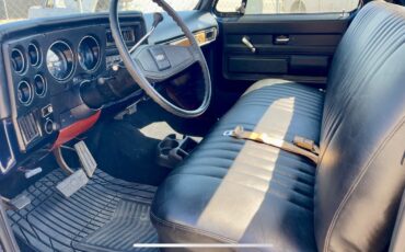 Chevrolet-Other-Pickups-1977-32