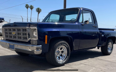 Chevrolet-Other-Pickups-1977