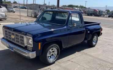 Chevrolet-Other-Pickups-1977-4