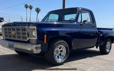 Chevrolet Other Pickups 1977