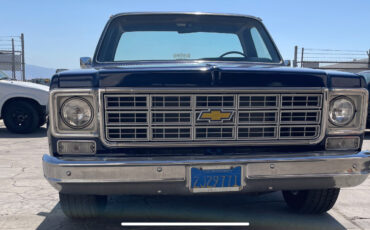 Chevrolet-Other-Pickups-1977-5