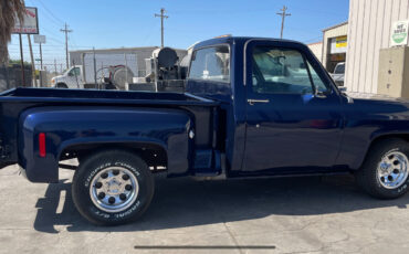 Chevrolet-Other-Pickups-1977-6