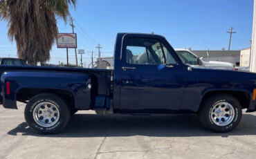 Chevrolet-Other-Pickups-1977-7