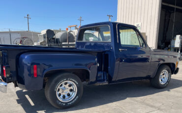 Chevrolet-Other-Pickups-1977-8