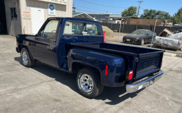 Chevrolet-Other-Pickups-1977-9