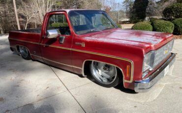 Chevrolet-Other-Pickups-1977-Pick-up-1