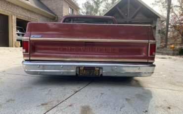 Chevrolet-Other-Pickups-1977-Pick-up-10