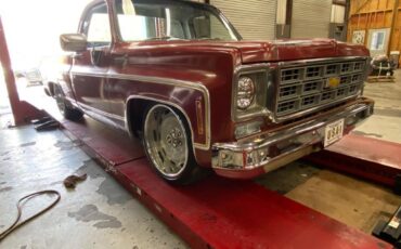 Chevrolet-Other-Pickups-1977-Pick-up-12