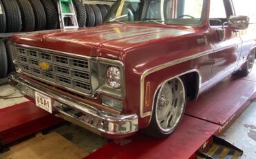 Chevrolet-Other-Pickups-1977-Pick-up-13