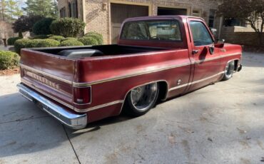 Chevrolet-Other-Pickups-1977-Pick-up-2