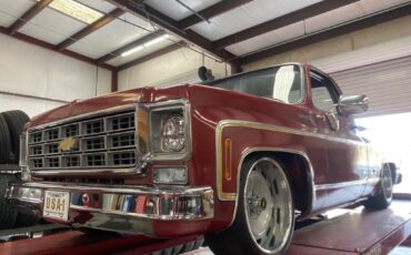 Chevrolet-Other-Pickups-1977-Pick-up-25