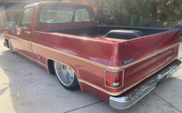 Chevrolet-Other-Pickups-1977-Pick-up-3