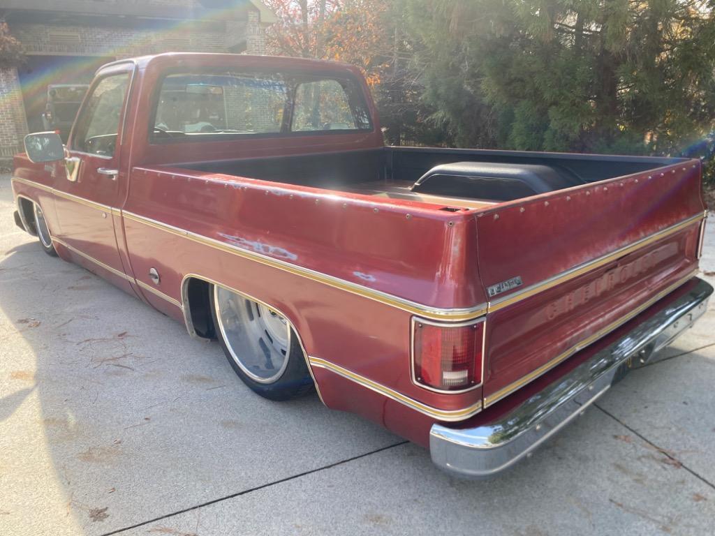 Chevrolet-Other-Pickups-1977-Pick-up-3