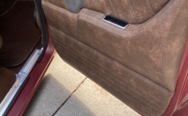 Chevrolet-Other-Pickups-1977-Pick-up-30