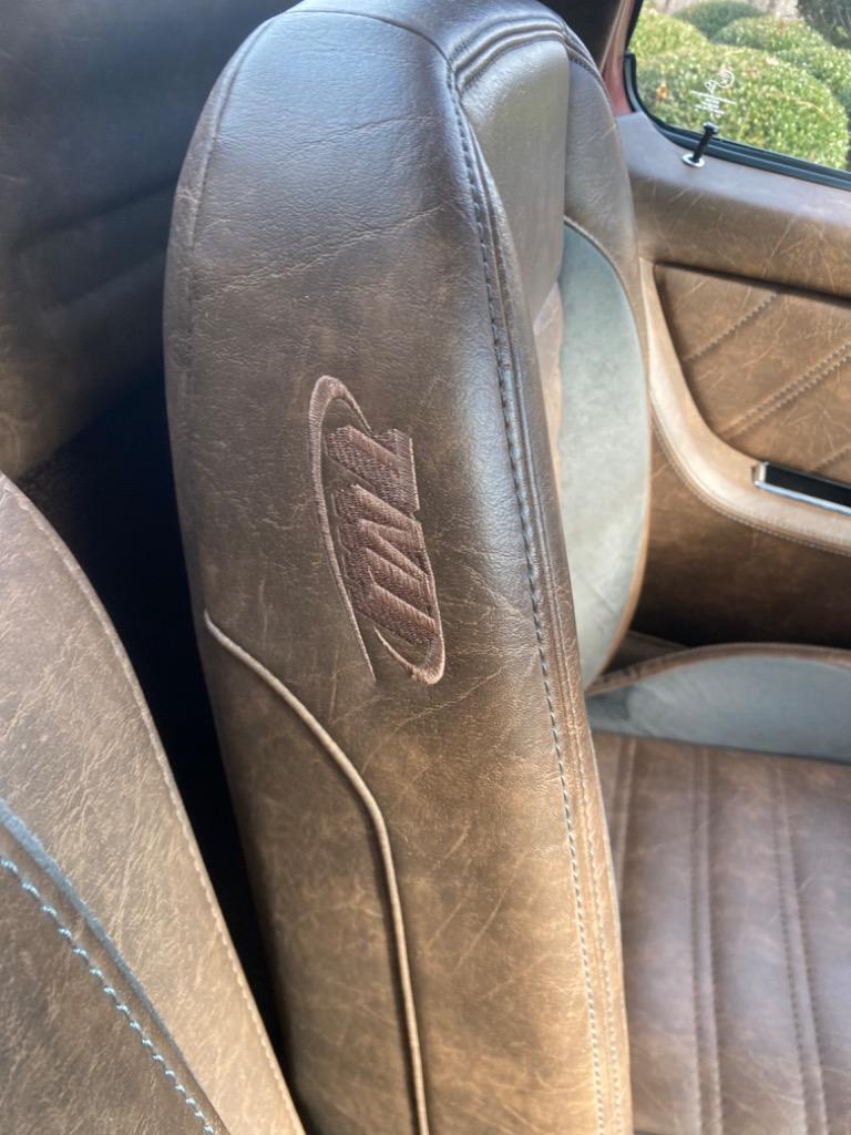 Chevrolet-Other-Pickups-1977-Pick-up-34