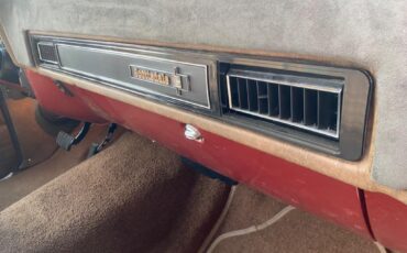 Chevrolet-Other-Pickups-1977-Pick-up-35