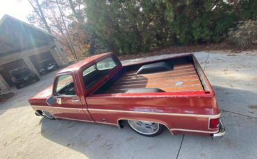Chevrolet-Other-Pickups-1977-Pick-up-6