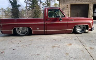 Chevrolet-Other-Pickups-1977-Pick-up-7