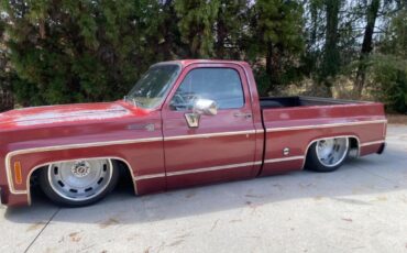 Chevrolet-Other-Pickups-1977-Pick-up-8