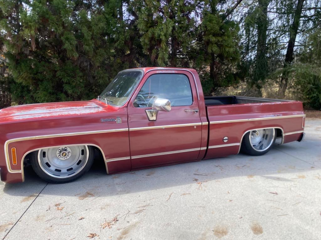 Chevrolet-Other-Pickups-1977-Pick-up-8