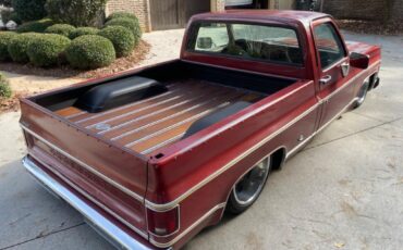 Chevrolet-Other-Pickups-1977-Pick-up-9