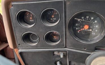 Chevrolet-Other-Pickups-1978-8