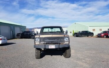 Chevrolet-Other-Pickups-1978-Standard-Cab-Pickup-1
