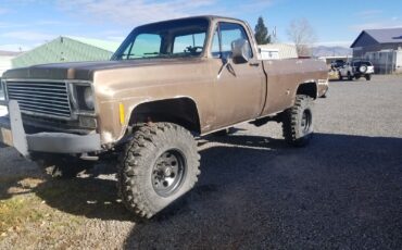 Chevrolet-Other-Pickups-1978-Standard-Cab-Pickup-12