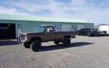 Chevrolet-Other-Pickups-1978-Standard-Cab-Pickup-13