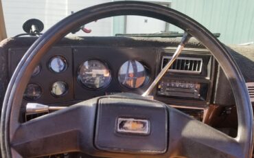 Chevrolet-Other-Pickups-1978-Standard-Cab-Pickup-18