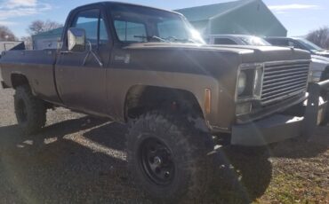 Chevrolet-Other-Pickups-1978-Standard-Cab-Pickup-7
