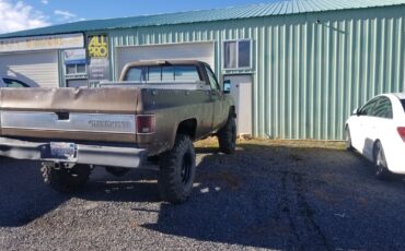 Chevrolet-Other-Pickups-1978-Standard-Cab-Pickup-9