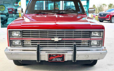 Chevrolet-Other-Pickups-1984-Pickup-Truck-1