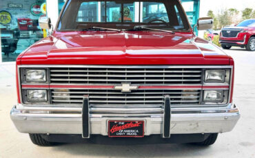 Chevrolet-Other-Pickups-1984-Pickup-Truck-1