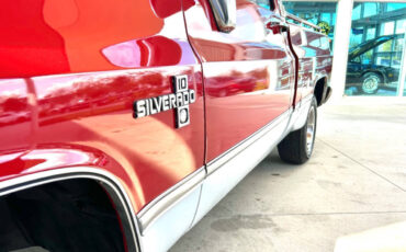 Chevrolet-Other-Pickups-1984-Pickup-Truck-10