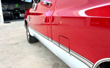 Chevrolet-Other-Pickups-1984-Pickup-Truck-11