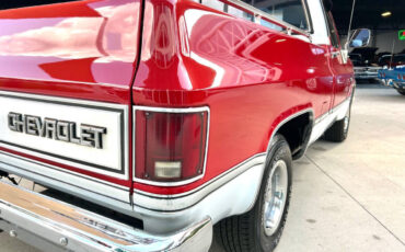 Chevrolet-Other-Pickups-1984-Pickup-Truck-13
