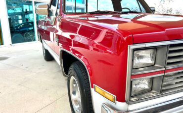 Chevrolet-Other-Pickups-1984-Pickup-Truck-16