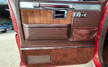 Chevrolet-Other-Pickups-1984-Pickup-Truck-19