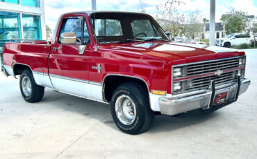 Chevrolet-Other-Pickups-1984-Pickup-Truck-2