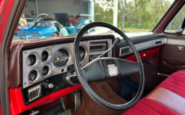 Chevrolet-Other-Pickups-1984-Pickup-Truck-20