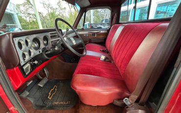 Chevrolet-Other-Pickups-1984-Pickup-Truck-21